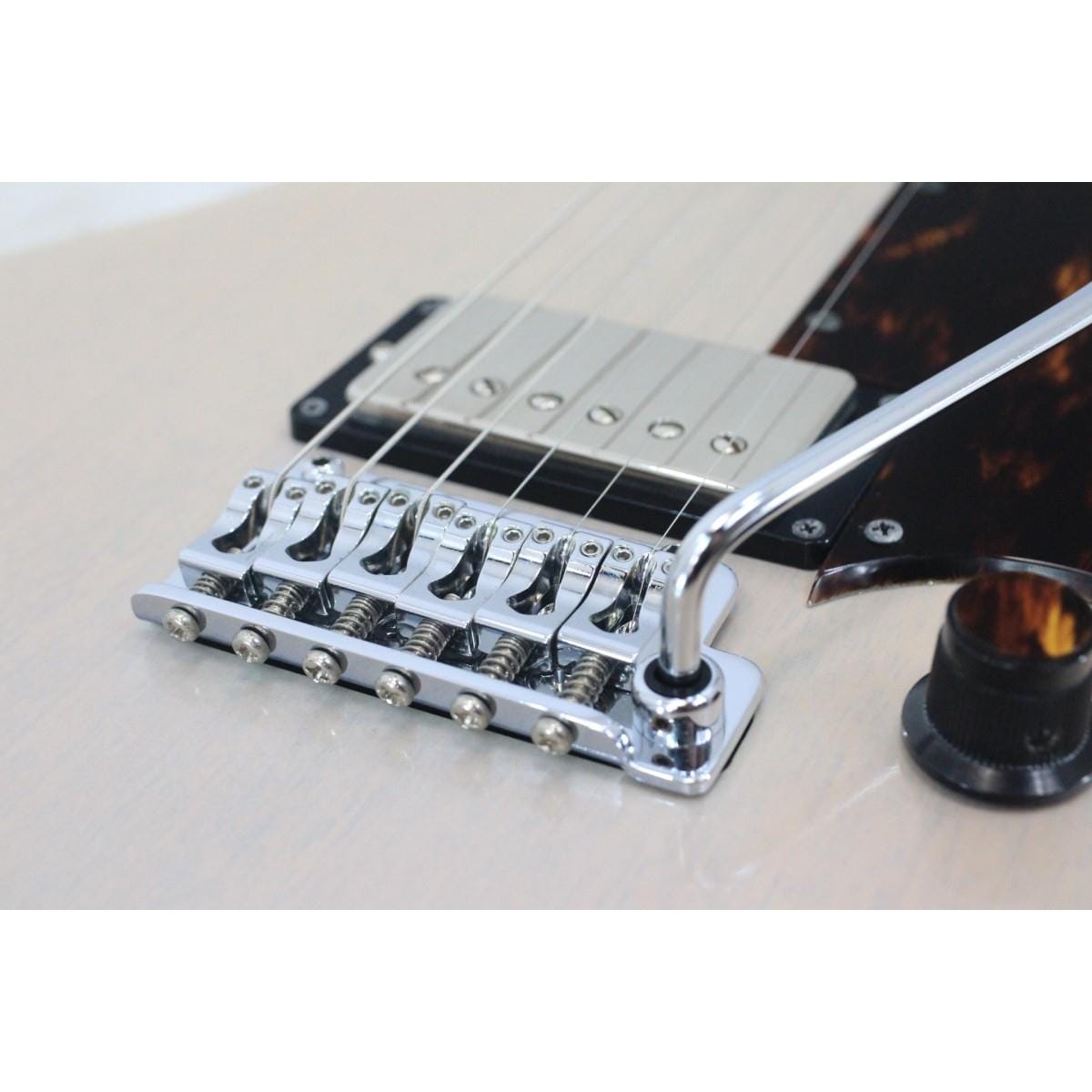 ＲＹＯＧＡ　ＨＯＲＮＥＴ－Ｔ３Ｖ