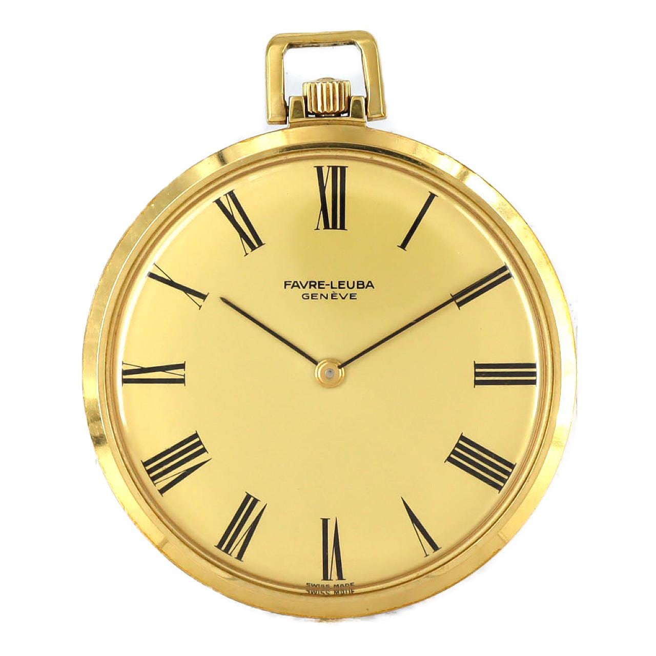 ファーブル･ルーバ カイチュウ GP GP 手巻