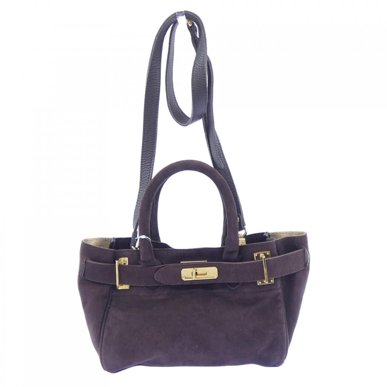 シータパランティカ sita parantica BAG