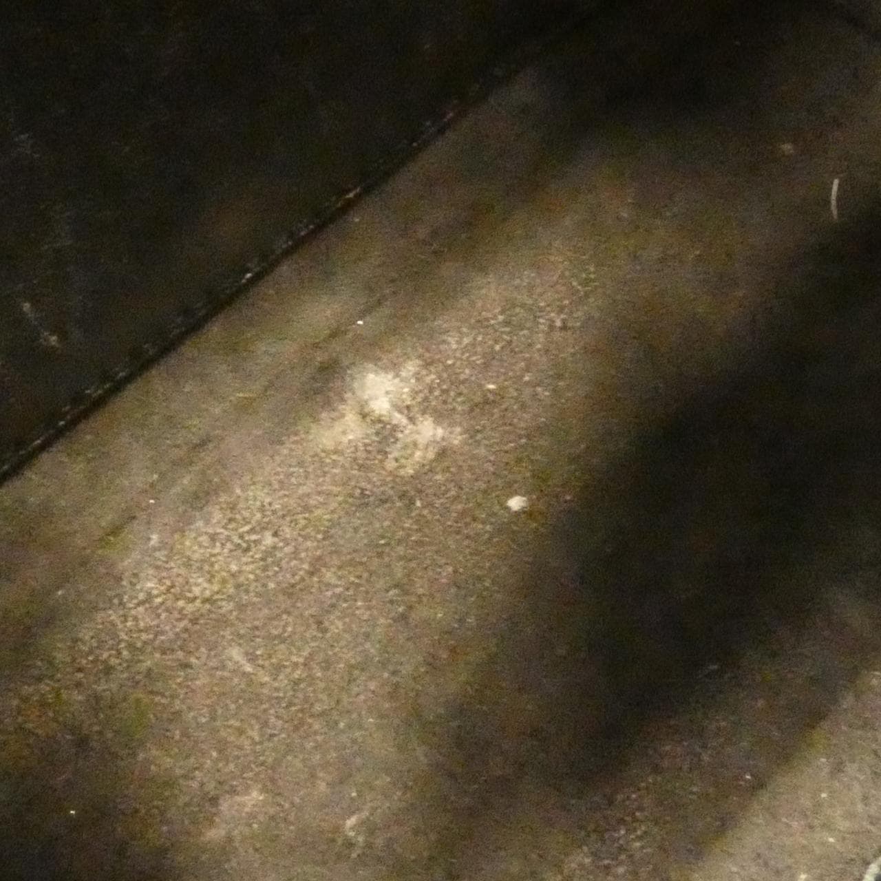 クリスチャンディオール ジャディオール M9000CVQV ショルダーバッグ