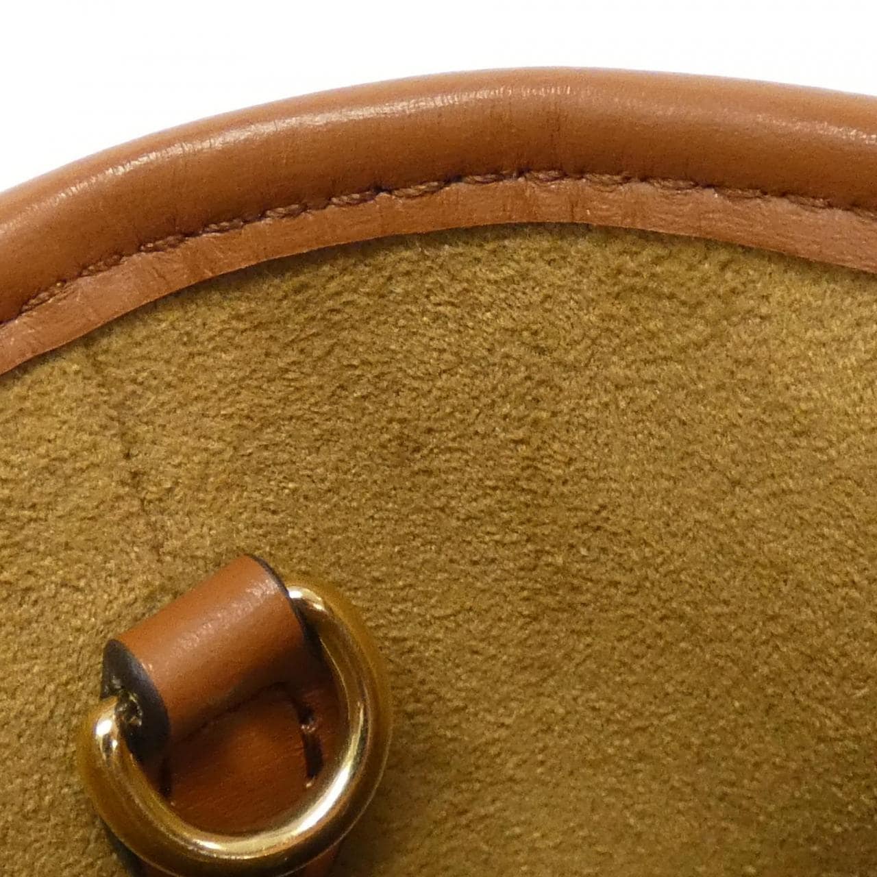 LOUIS VUITTON LV Garden (Monogram) 纳米水桶 M81724 单肩包