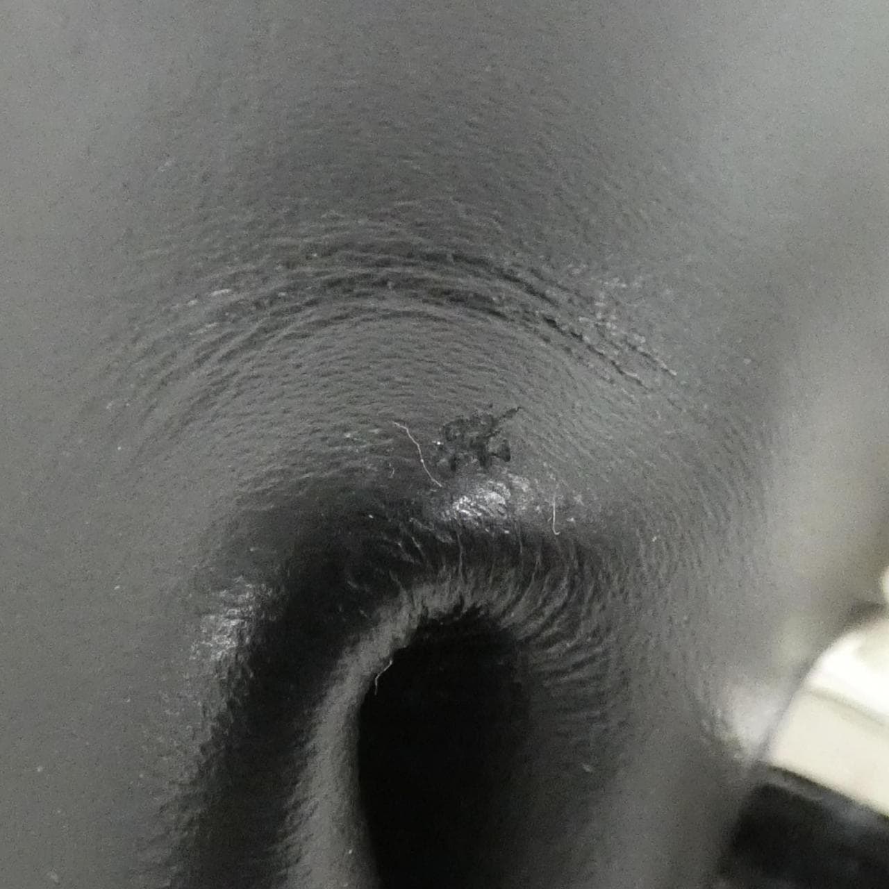 ゴヤール ボウリング 45cm ボストンバッグ