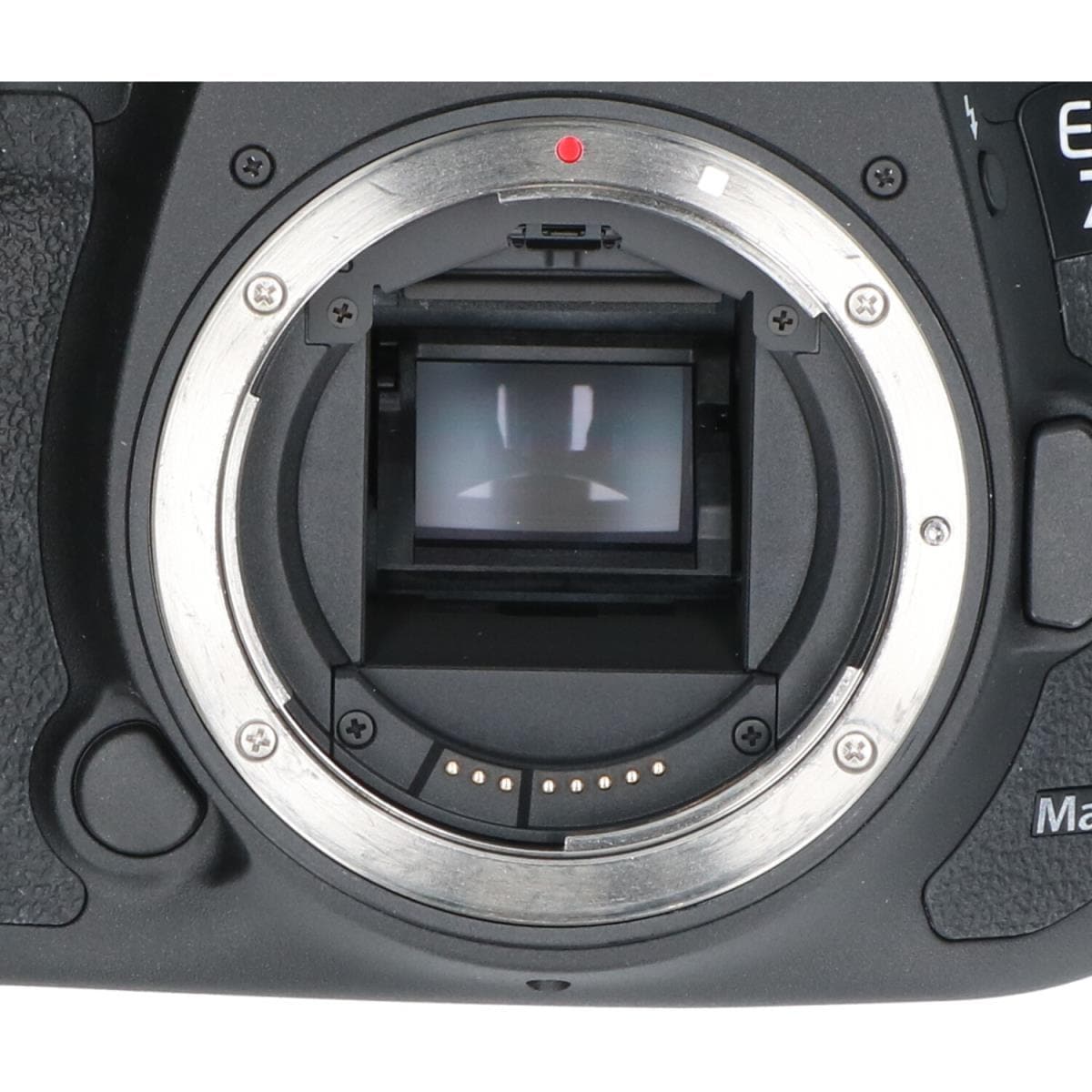 CANON EOS 7D MARK II