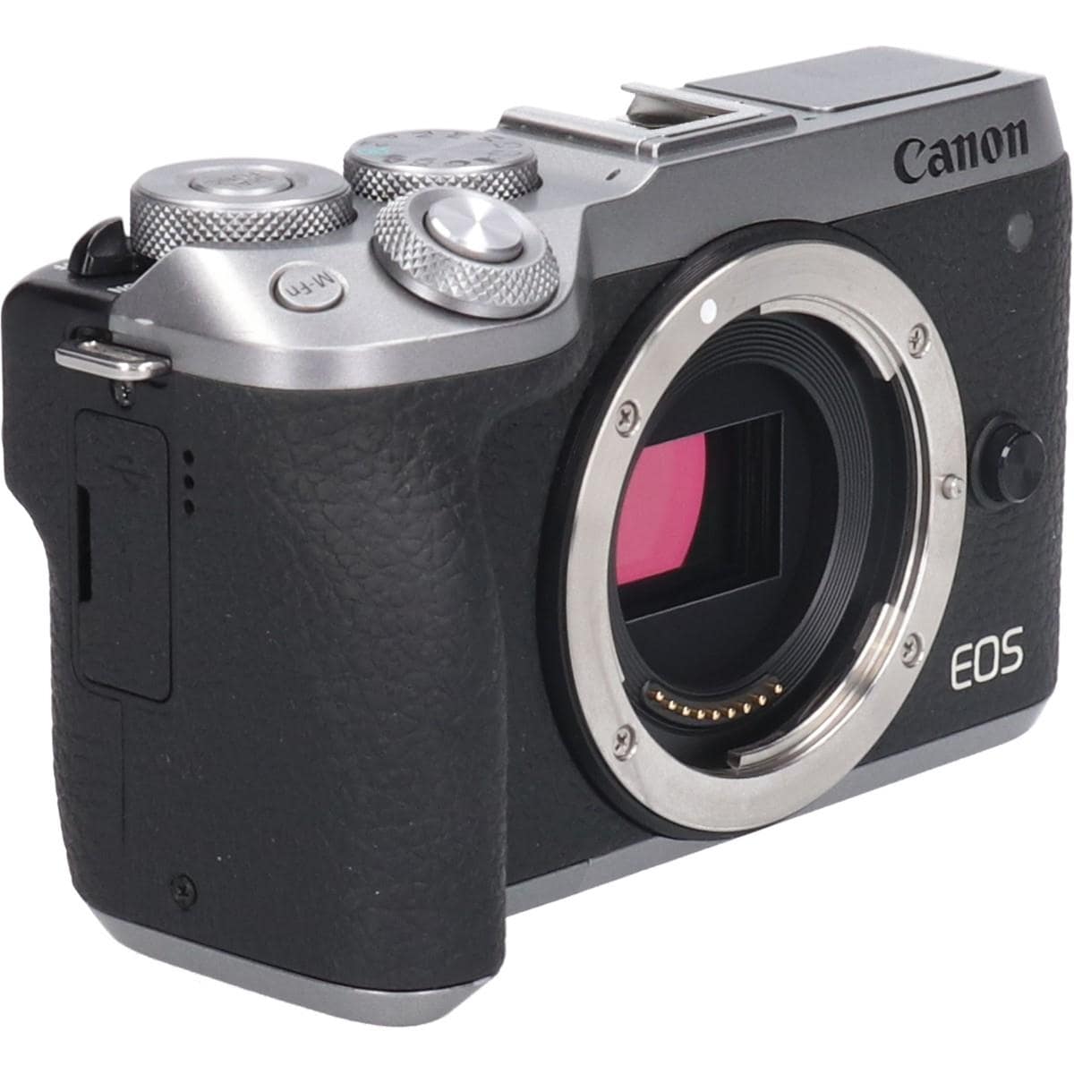 ＥＯＳ　Ｍ６　ＭＡＲＫ　ＩＩ　ＳＩＬＶＥＲ