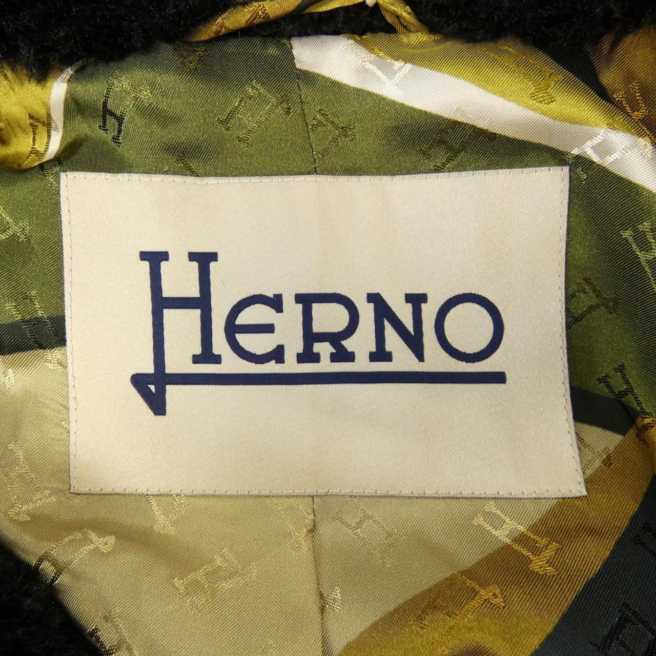 Herno CA000439D Coat