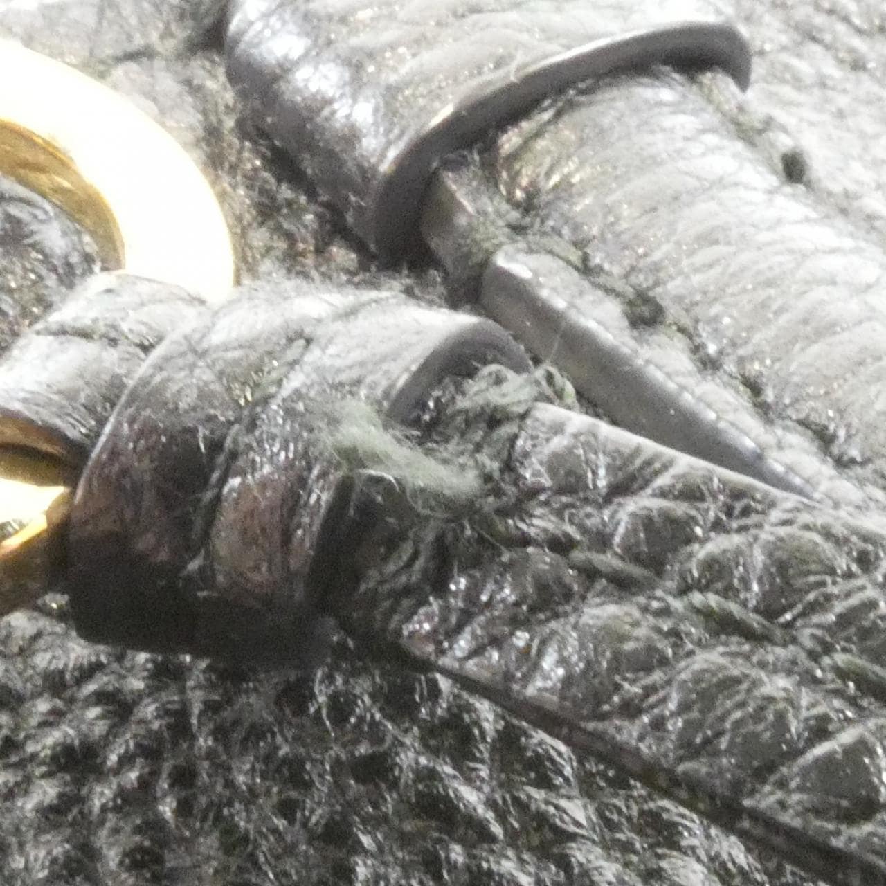 サルヴァトーレフェラガモ AMY 21 F216 バッグ