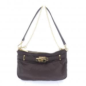 シータパランティカ sita parantica BAG