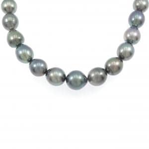 タサキ 黒蝶パール ネックレス