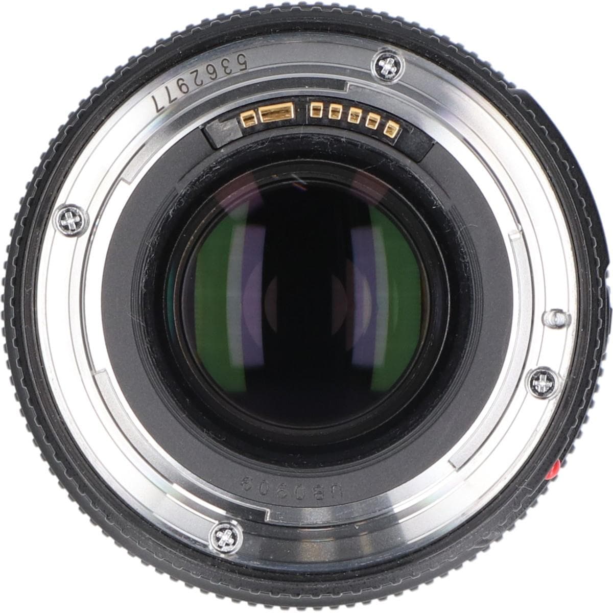 ＥＦ１００ｍｍ　Ｆ２．８Ｌ　ＭＡＣＲＯ　ＩＳ　ＵＳＭ