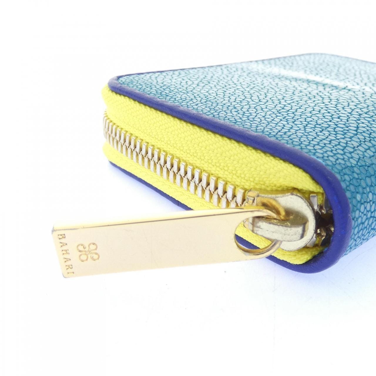 BAHARI COIN CASE