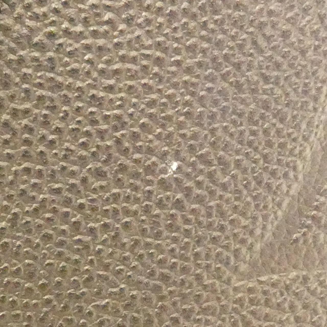 ルイヴィトン モノグラム アンプラント オンザゴー PM M45653 バッグ