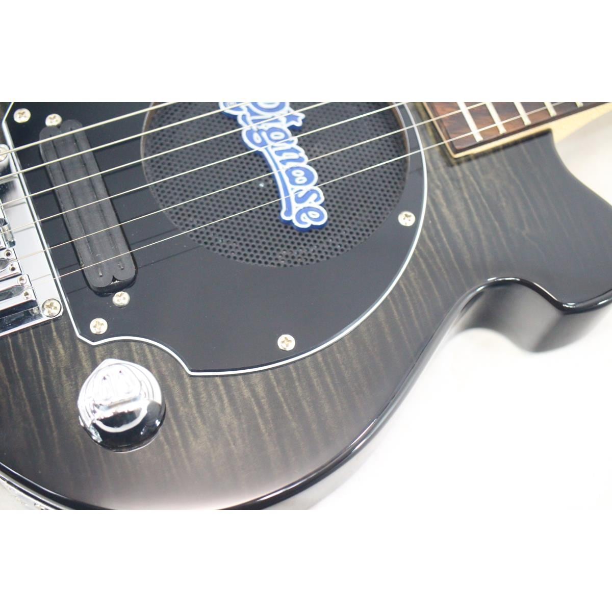 ＰＩＧＮＯＳＥ　　ＰＧＧ－２００ＦＭ