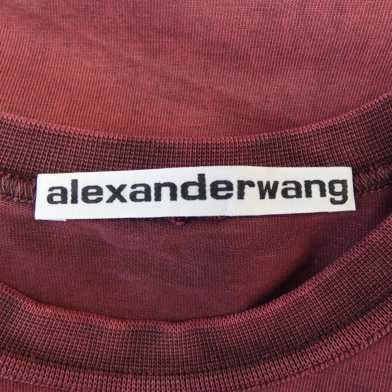 アレキサンダーワン ALEXANDER WANG 1CCA4241973 Tシャツ