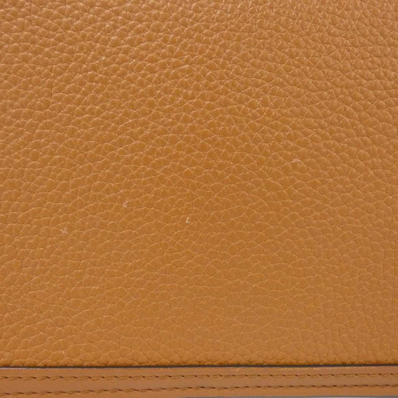 ルイヴィトン トリヨン ドーフィーヌ MINI M53805 ショルダーバッグ