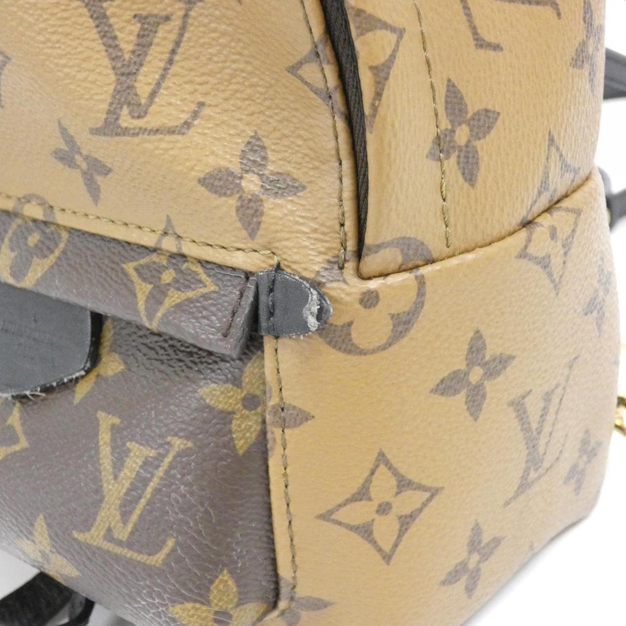 LOUIS VUITTON Monogram Reverse Palm Springs Backpack MINI M44872 Rucksack
