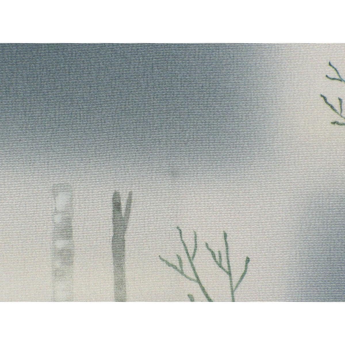 色留袖　訪問着兼用　友禅加工　身幅Ｌ寸