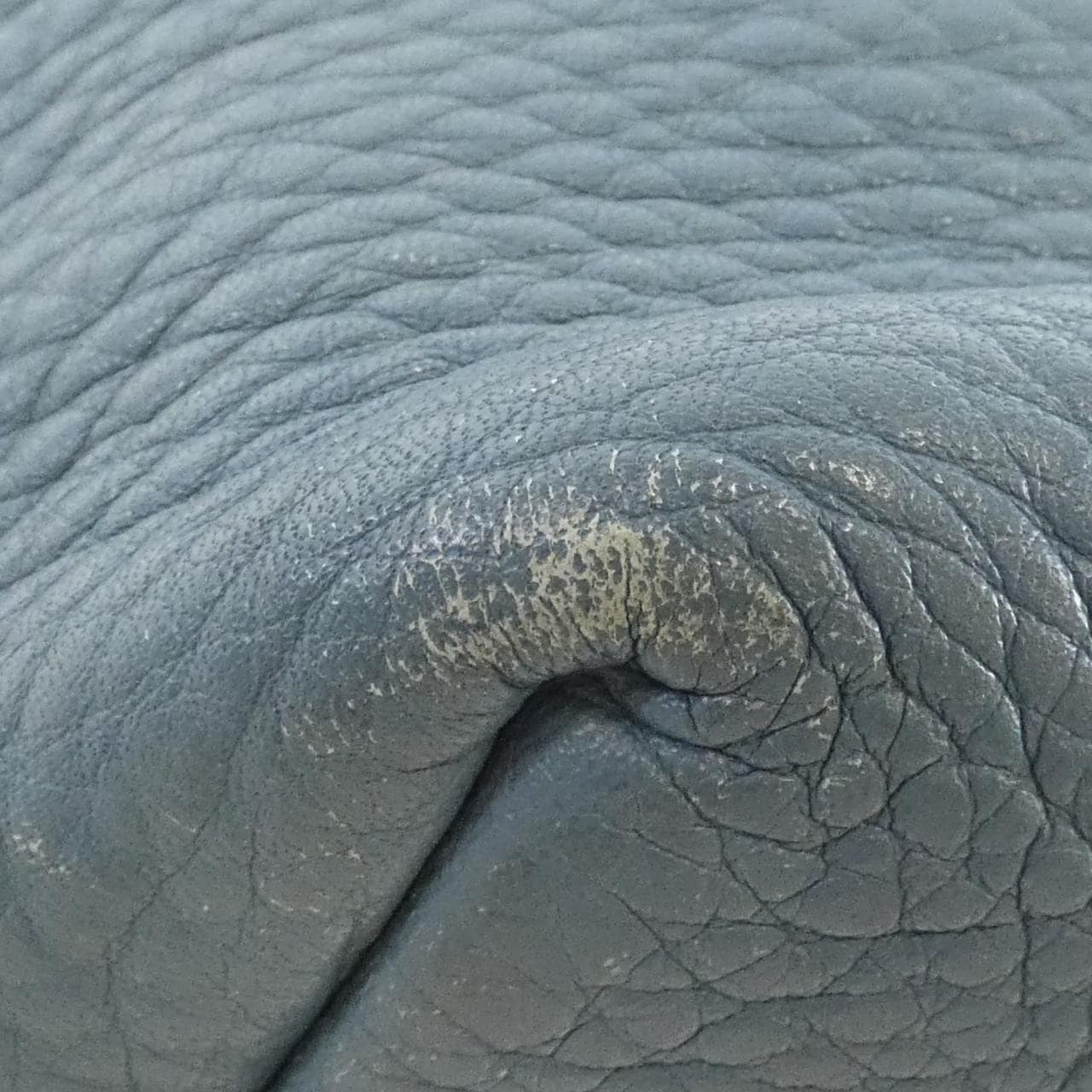 プラダ BN1713 バッグ