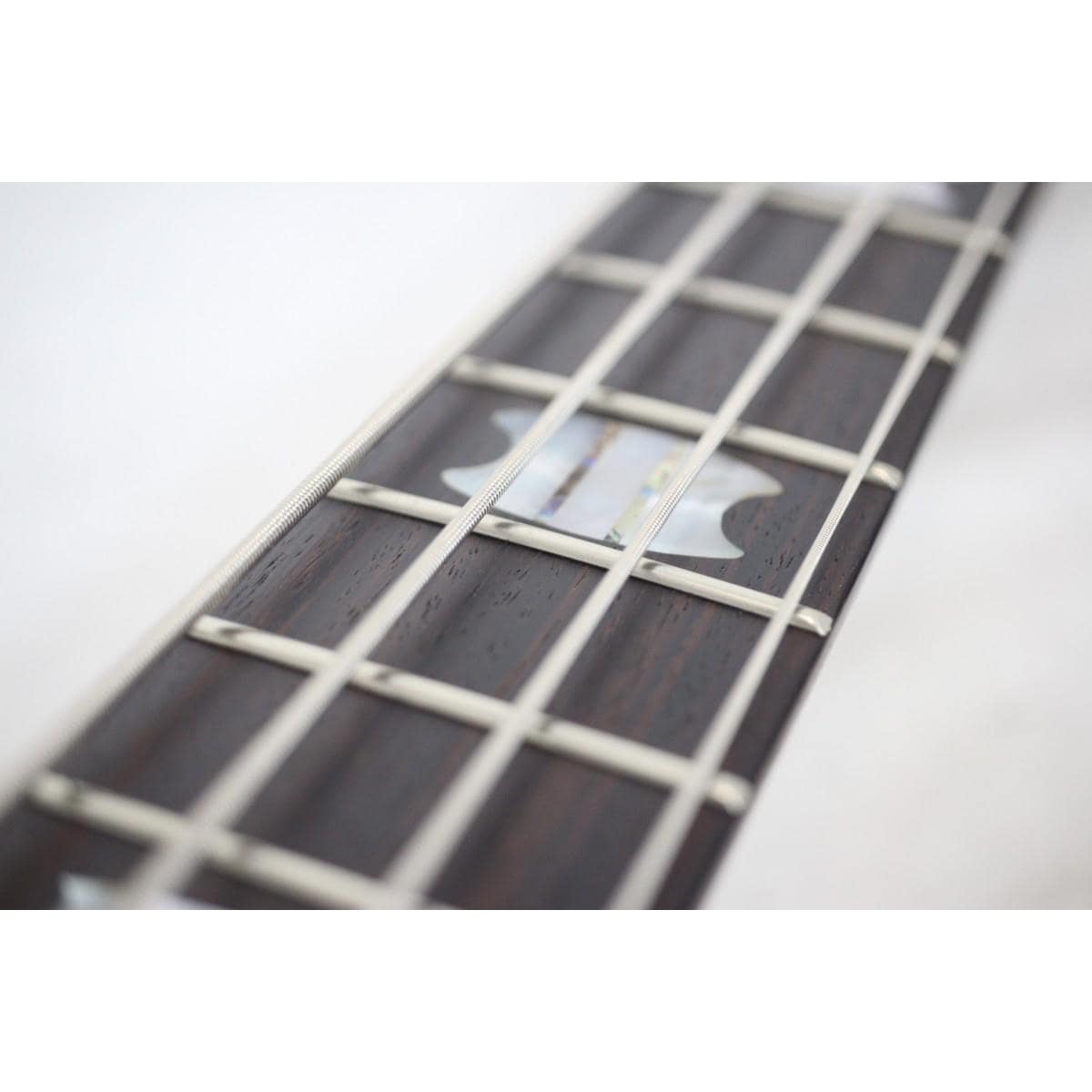 SPECTOR EURO4 LX