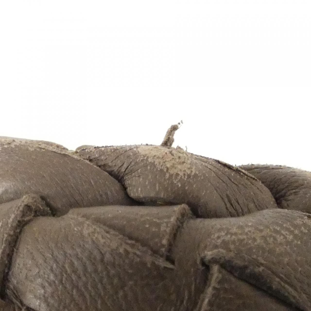 ボッテガヴェネタ 115653 V0016 ショルダーバッグ