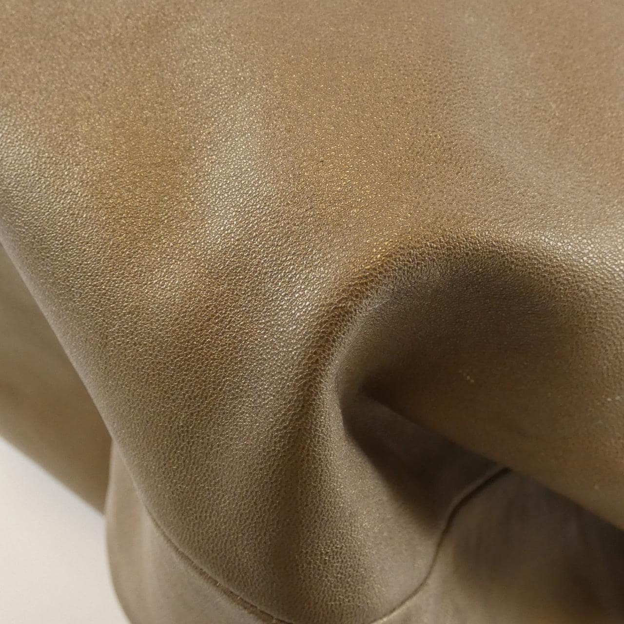 ロエベ ブリザ バッグ