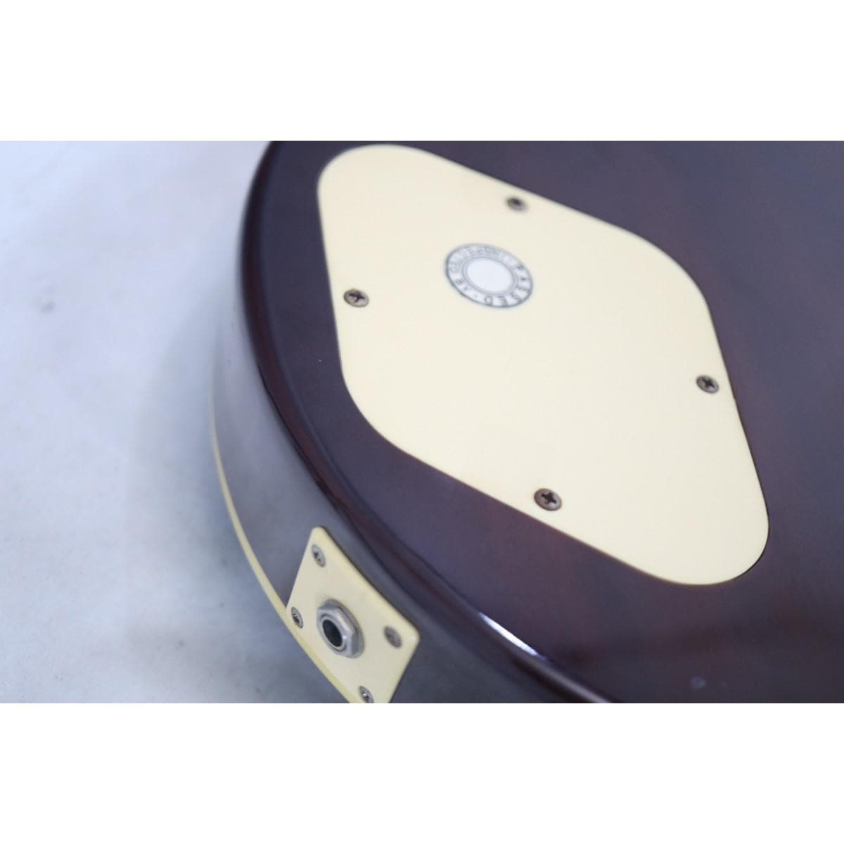 ＥＰＩＰＨＯＮＥ　ＬＥＳ　ＰＡＵＬ　ＳＴＡＮＤＡＲＤ