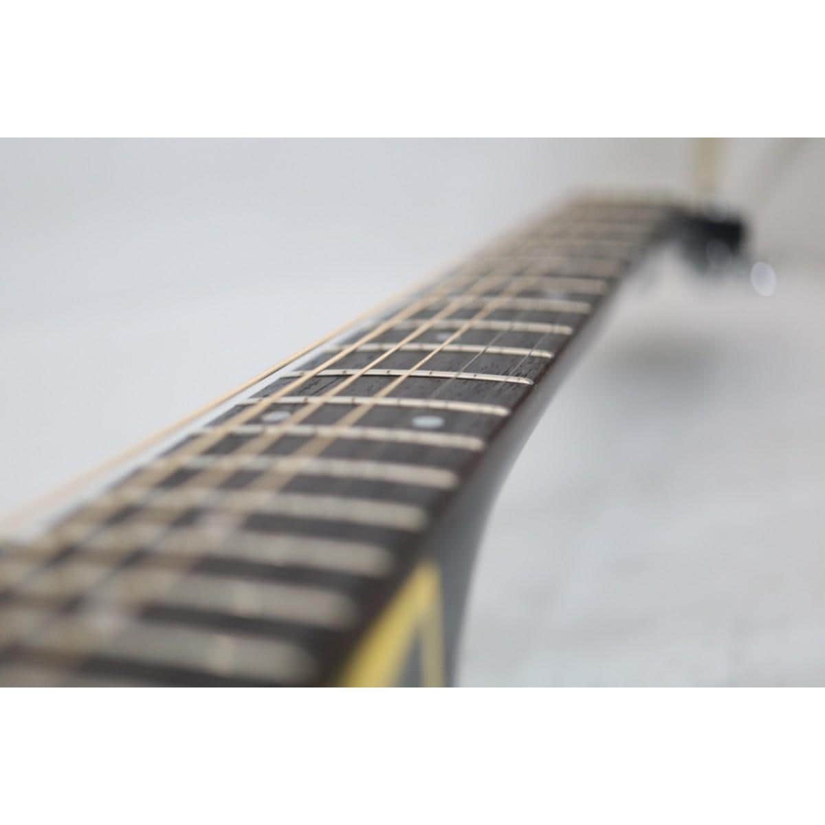 ＴＡＫＡＭＩＮＥ　　ＰＴ－１０６