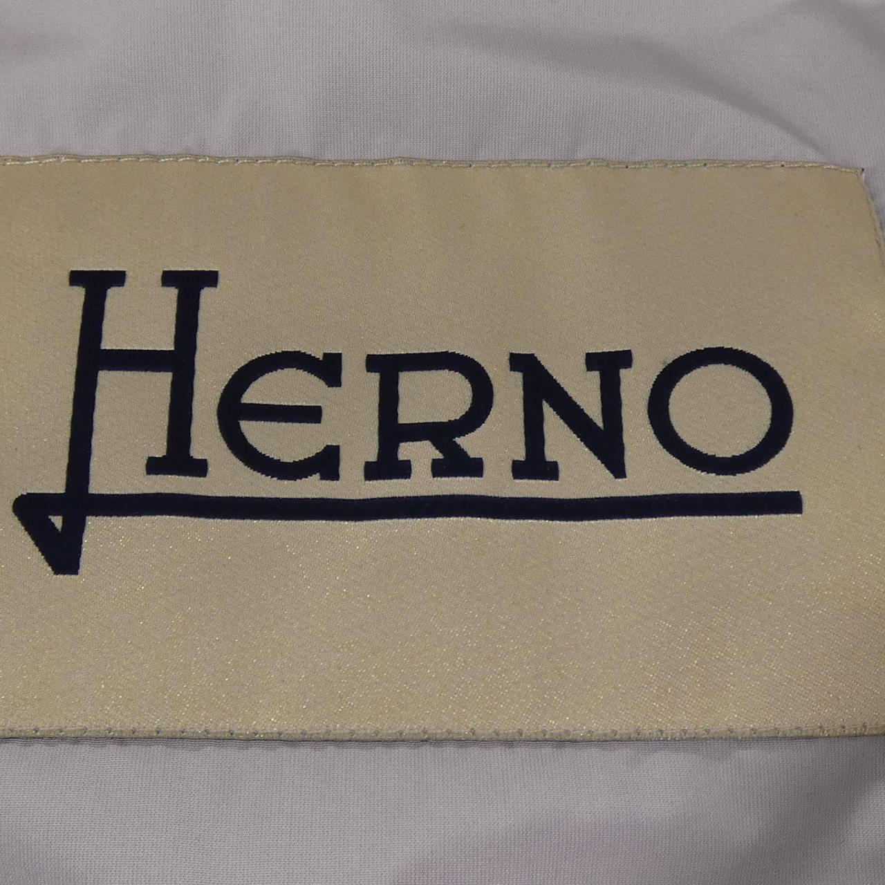 ヘルノ Herno PI0790D ダウンコート