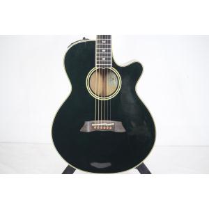 ＴＡＫＡＭＩＮＥ　　ＮＰＴ－１１５