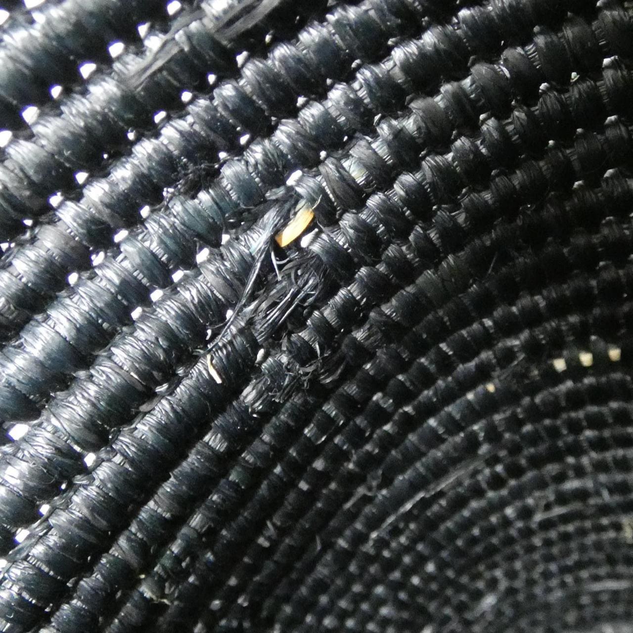 ロエベ スクエア バスケット バッグ スモール A223099X21 バッグ