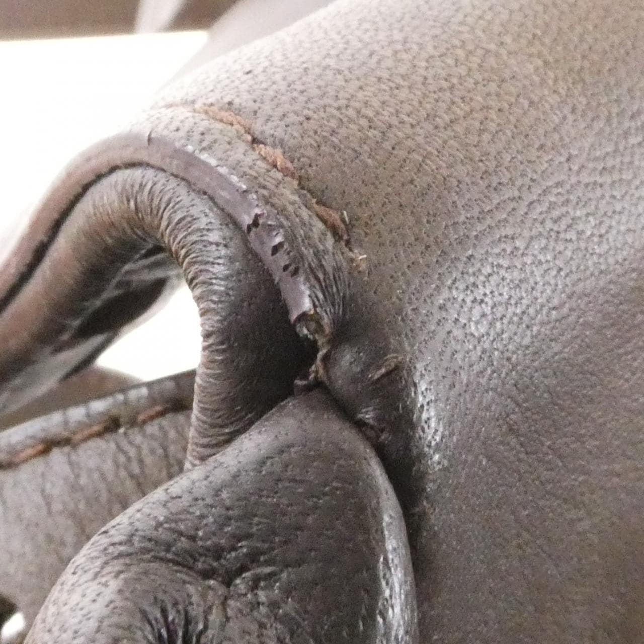 ボッテガヴェネタ 323778 V0016 ウエストバッグ