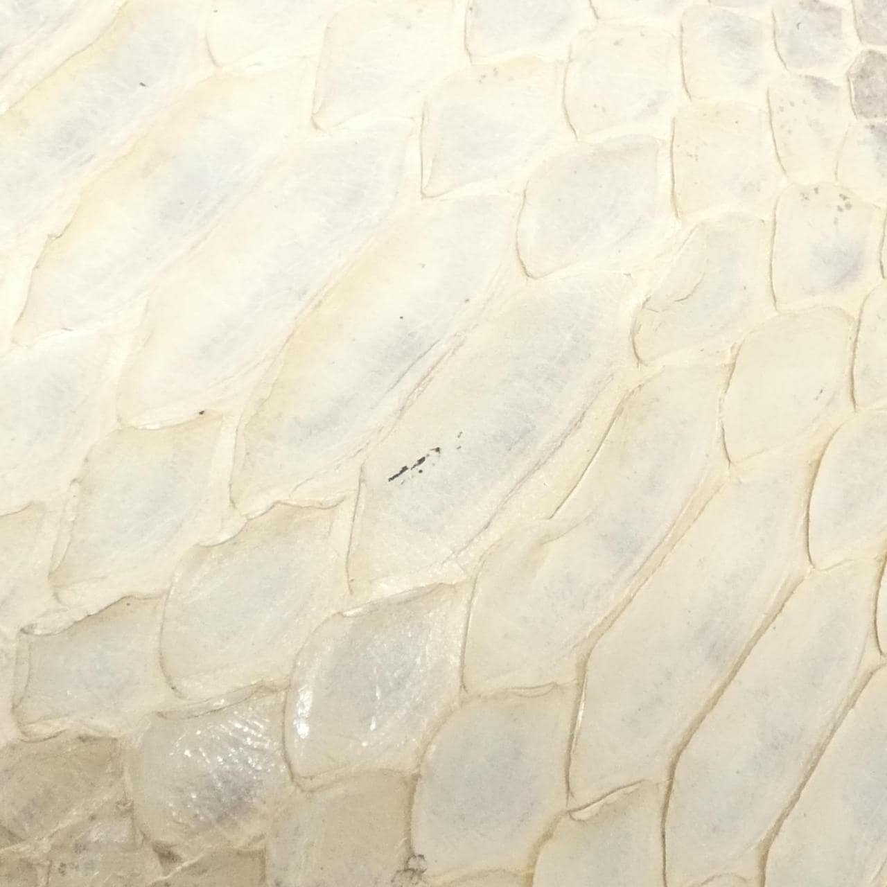 フェンディ バゲット 8BR000 JW7 ショルダーバッグ