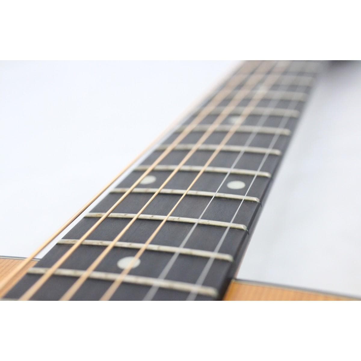 ＴＡＹＬＯＲ　　１１０Ｅ