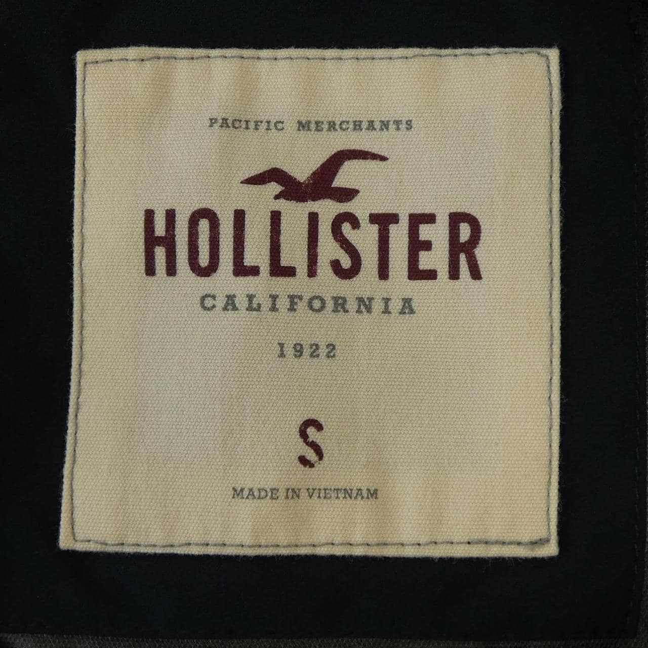 ホリスター HOLLISTER ジャケット