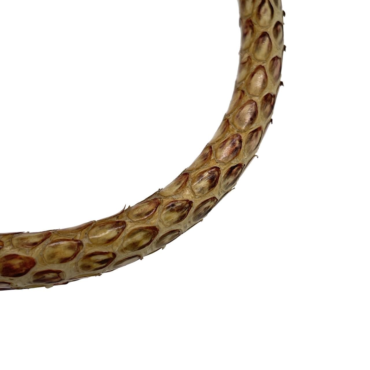 ルイヴィトン エキゾチックレザー LVアーク N97351 バッグ