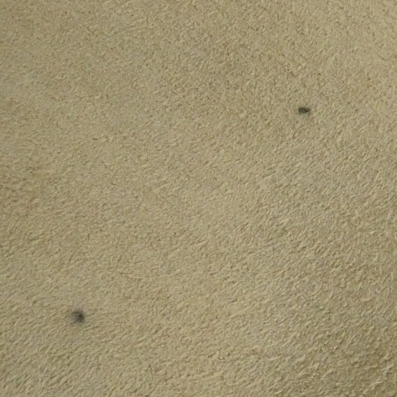 ボッテガヴェネタ 115653 V0013 ショルダーバッグ