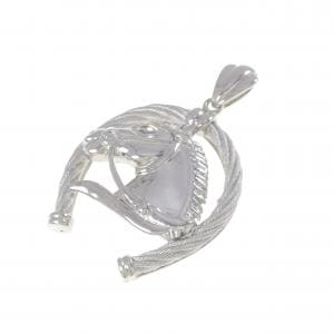 PT900 ホース ペンダント