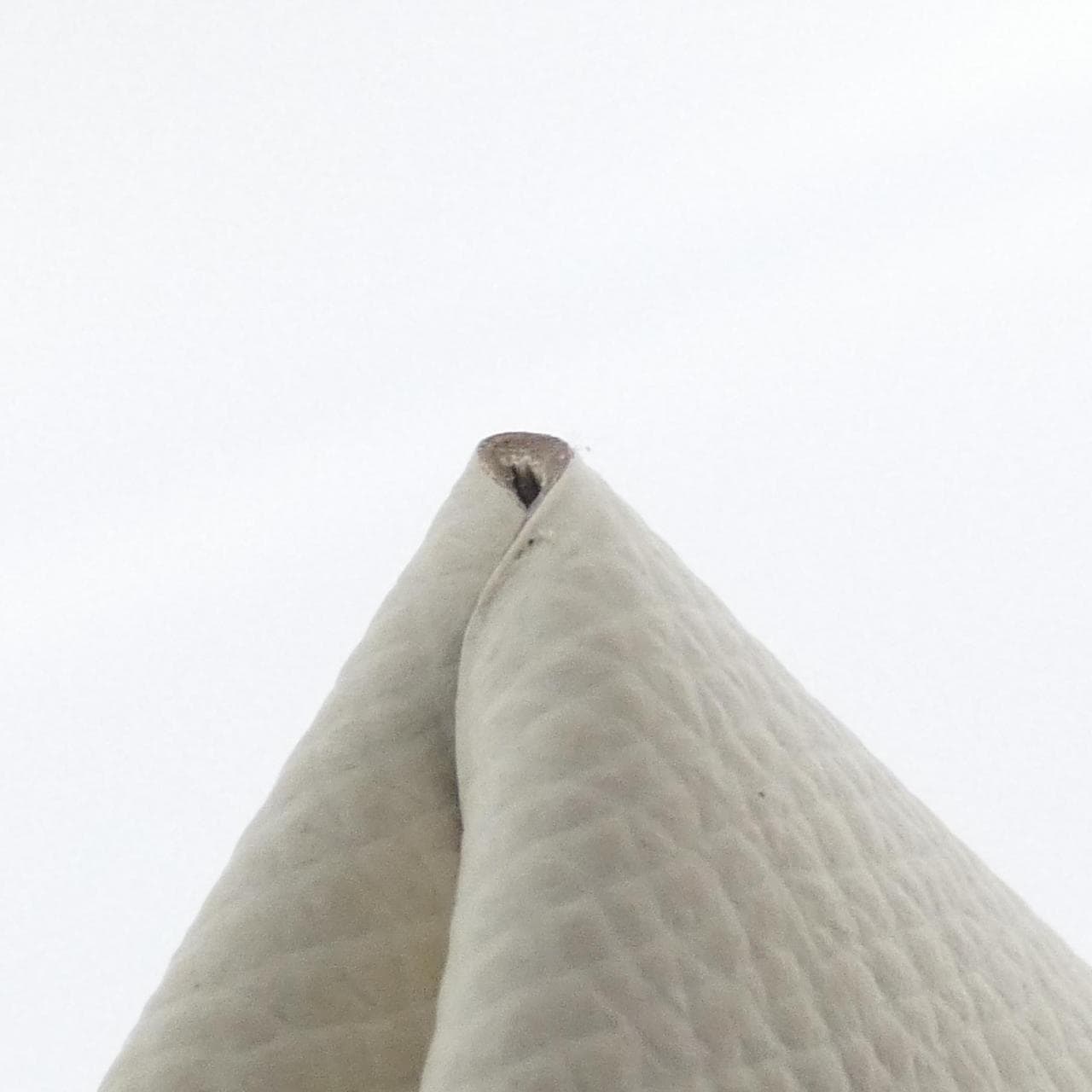 エルメス バスティア 041054CK コインケース