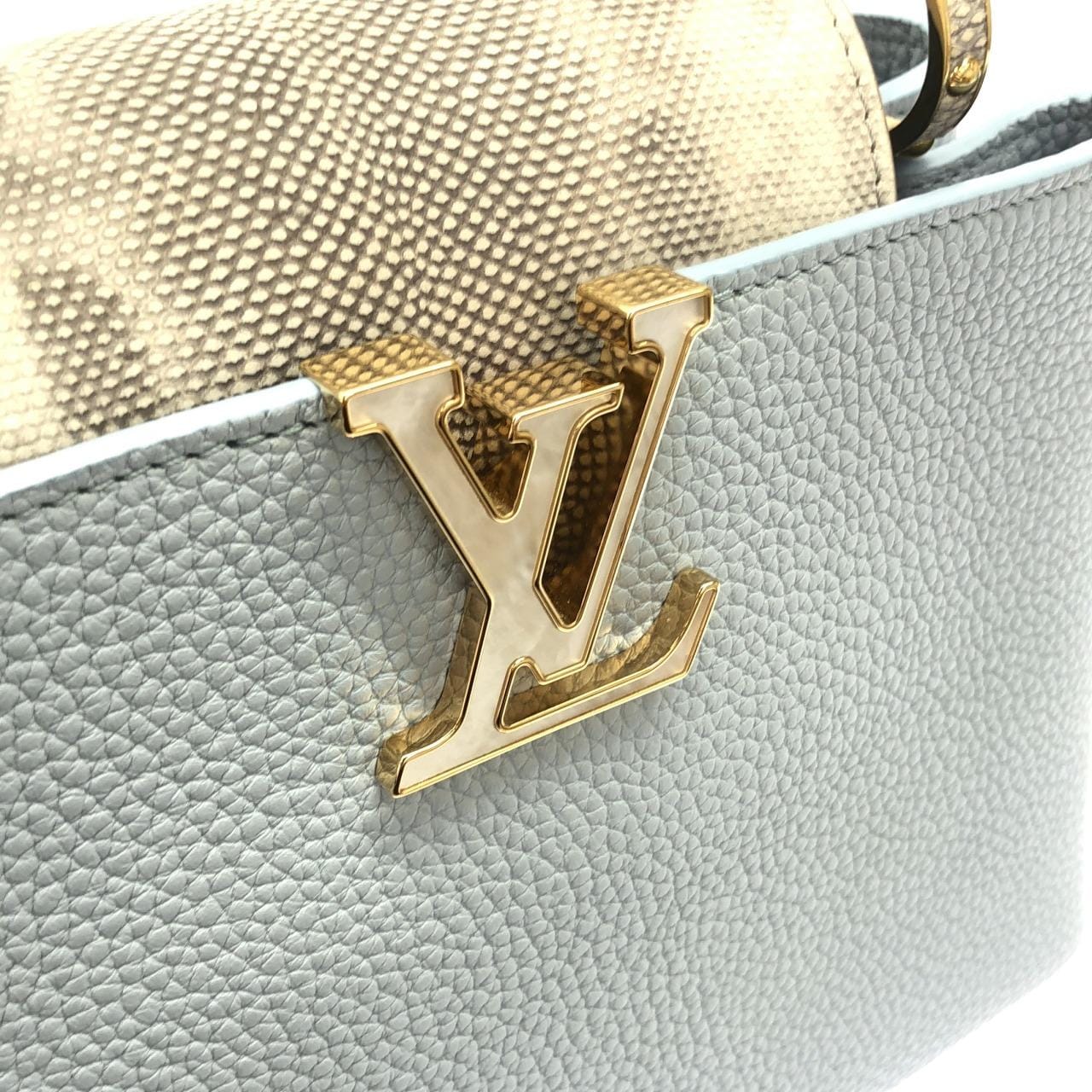 ルイヴィトン エキゾチック レザー カプシーヌBB M21166 バッグ