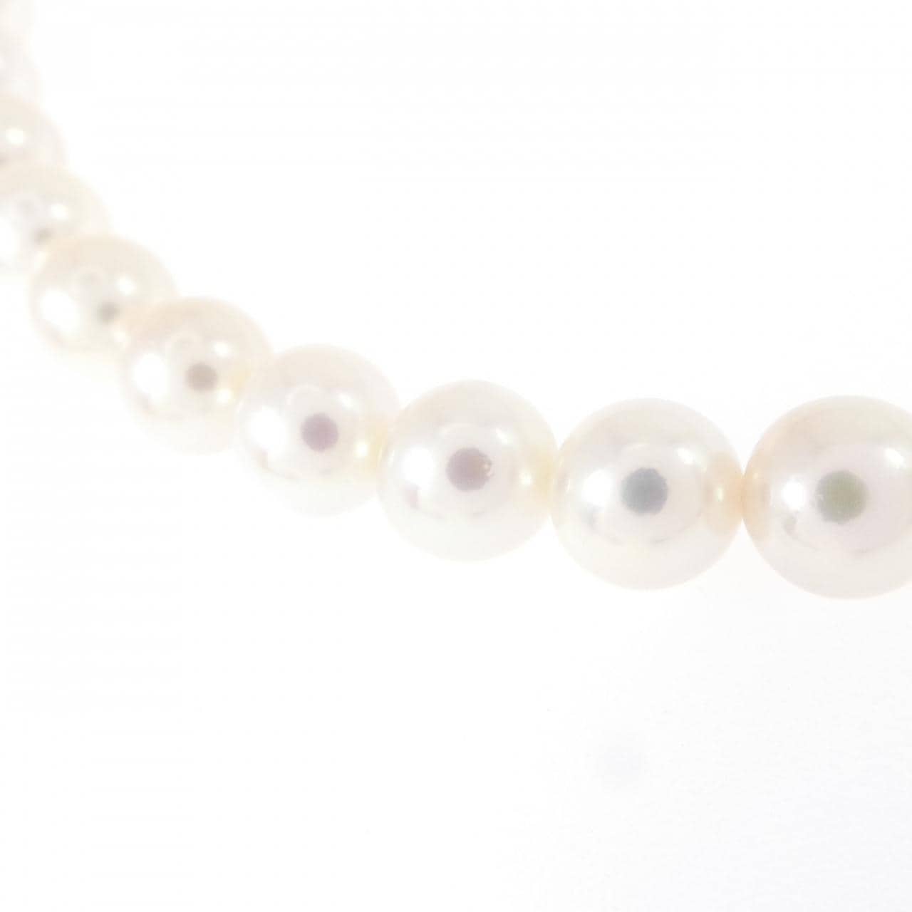 シルバークラスプ アコヤパール ネックレス 6-6.5mm