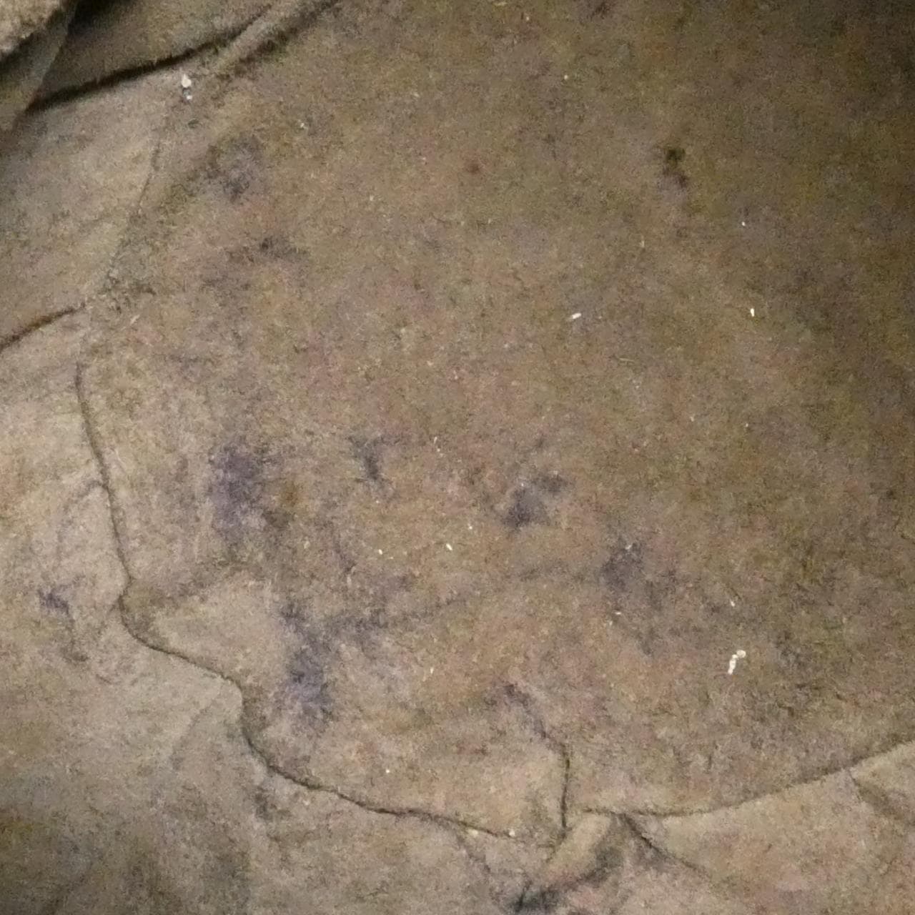 ボッテガヴェネタ 255690 V0016 ショルダーバッグ