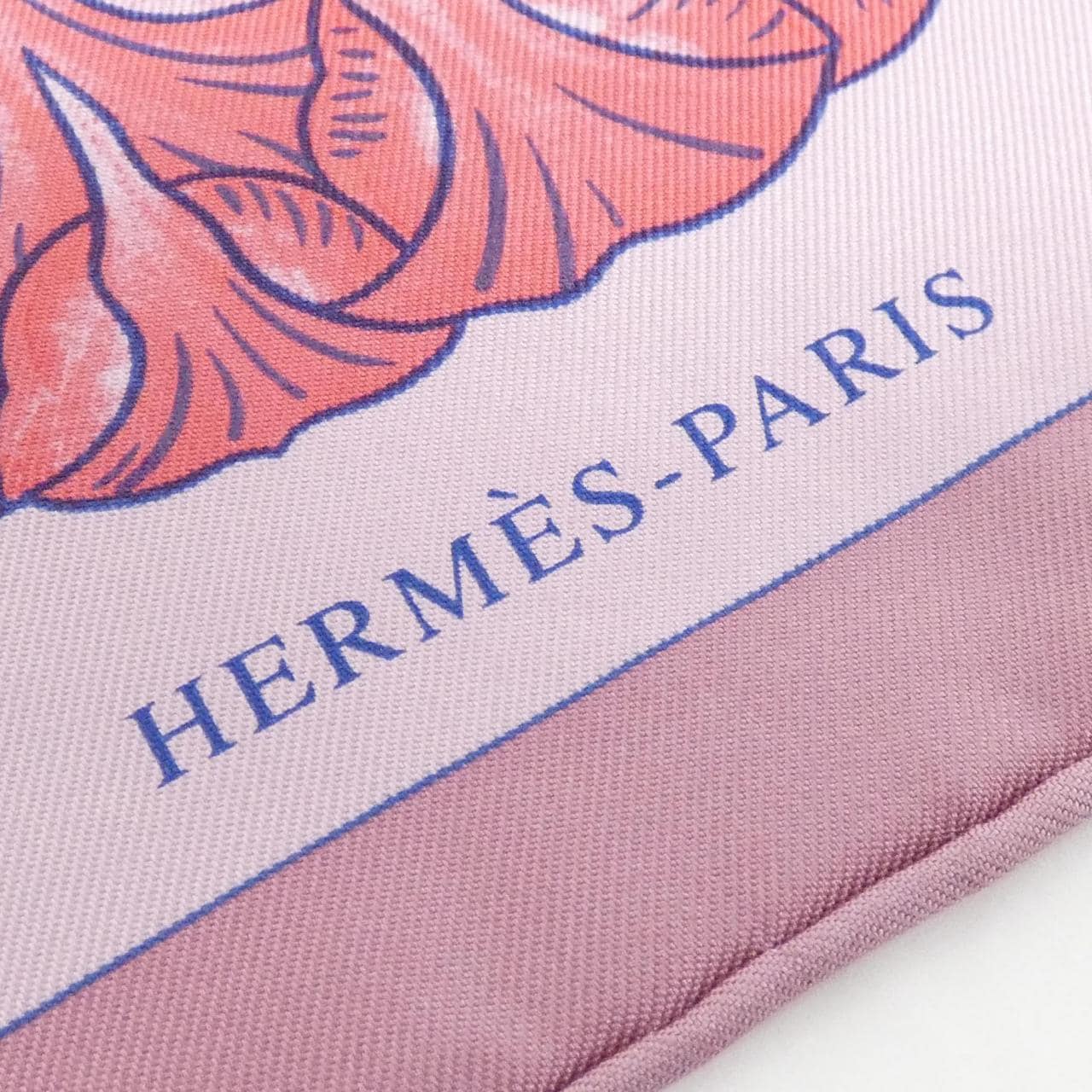 HERMES INDEX BROMELIACEAE Carre Scarf