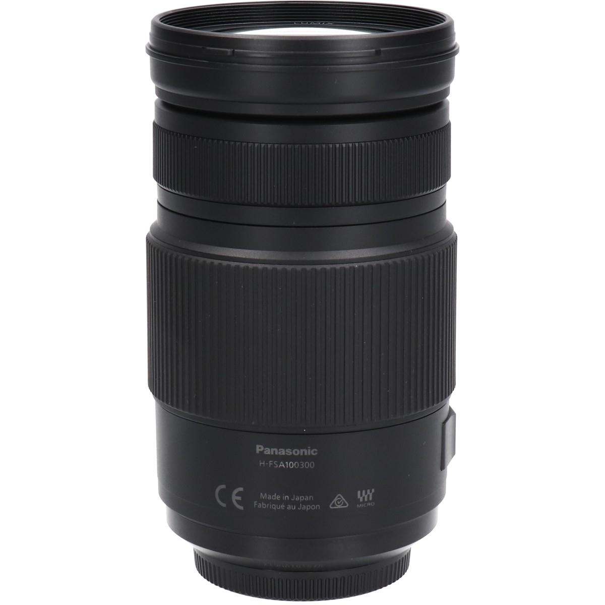 Ｇ１００－３００ｍｍ　Ｆ４－５．６ＩＩＰＯＷＥＲ　ＯＩＳ
