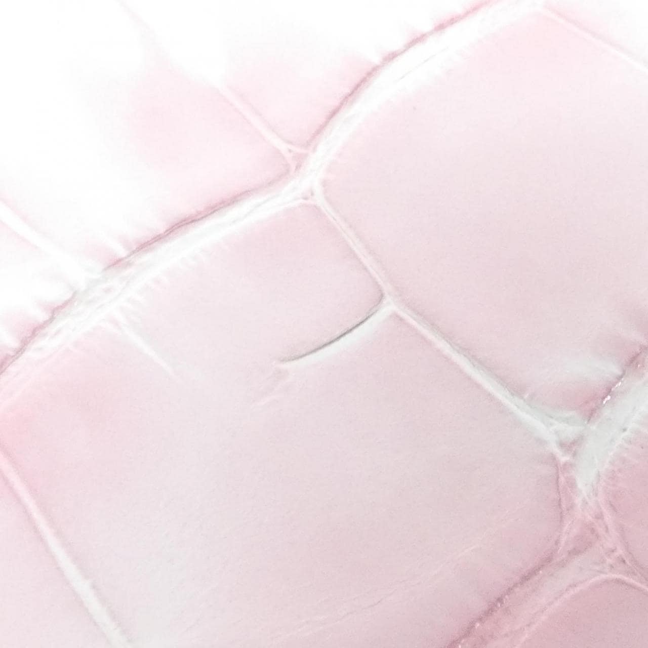 ルイヴィトン エキゾチック レザー カープシーヌ MINI バッグ