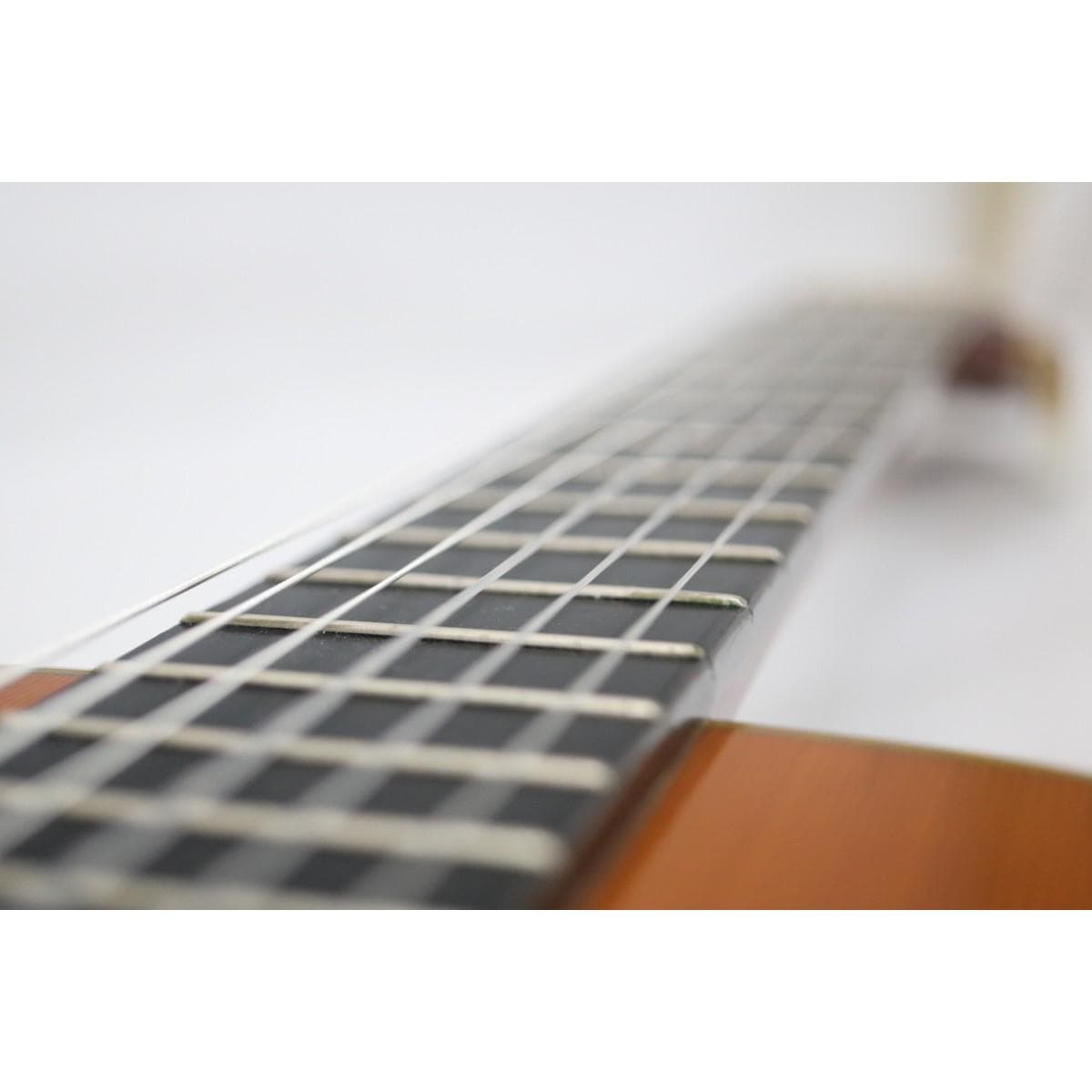ＹＡＭＡＨＡ　　ＦＣ－６