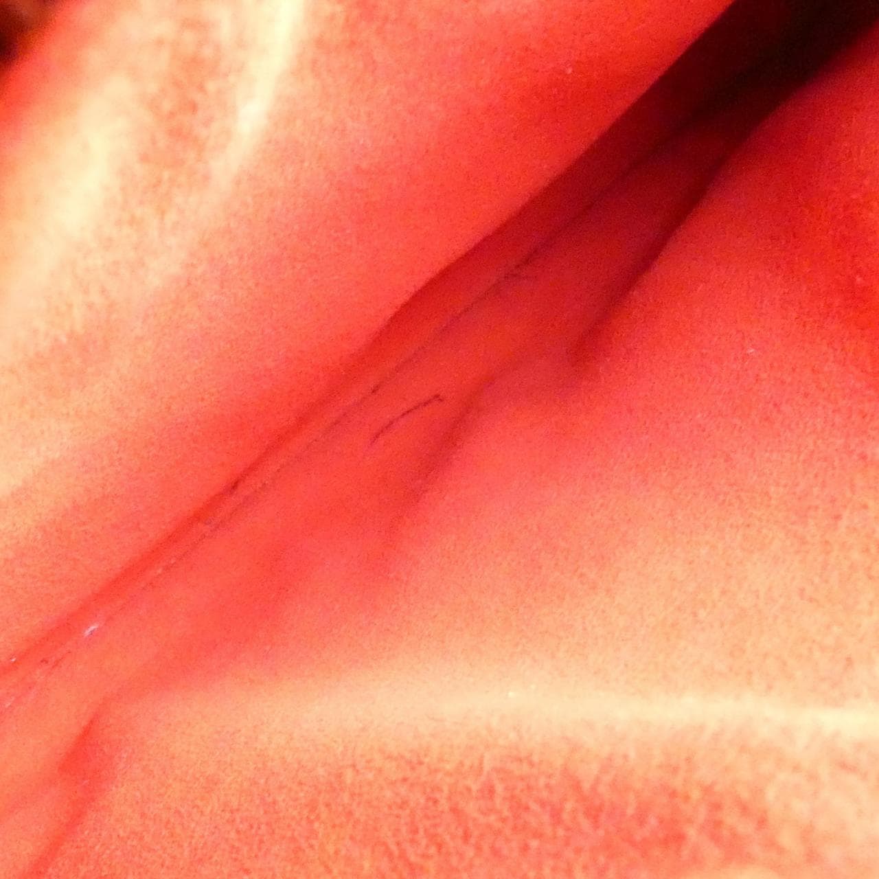 ルイヴィトン モノグラム アンプラント ネオ ノエ M45306 ショルダーバッグ