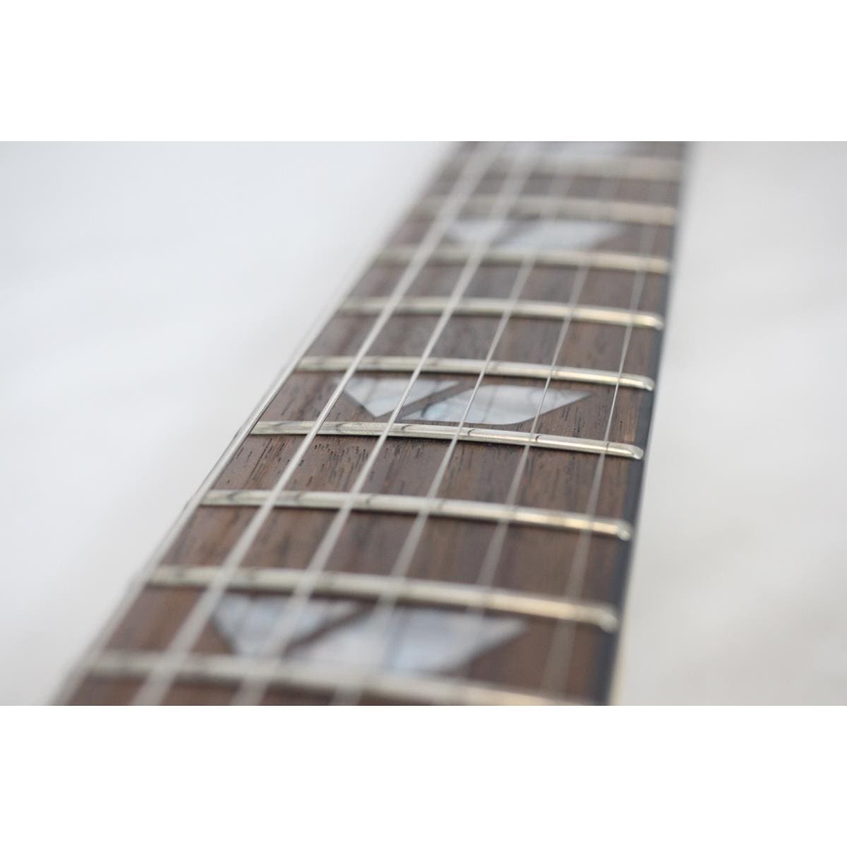 ＦＥＲＮＡＮＤＥＳ　　ＲＡＶＥＬＬＥ　ＳＴＡＮＤＡＲＤ