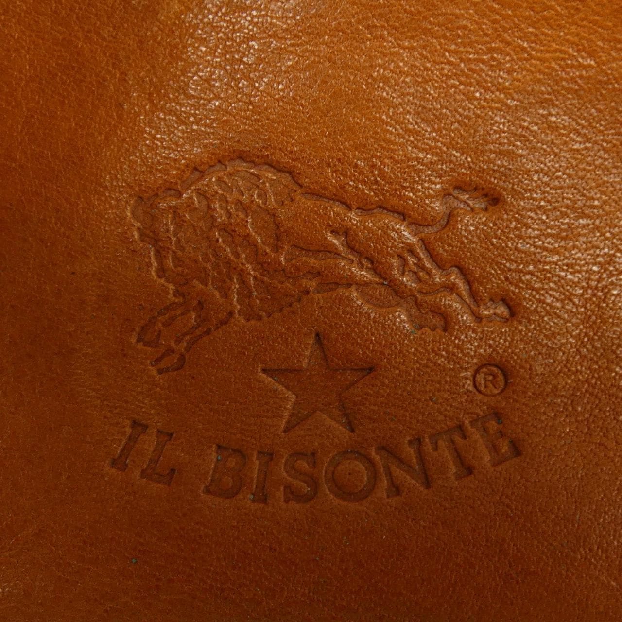 イルビゾンテ IL BISONTE BAG