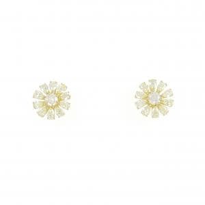 Diamond earrings/earrings