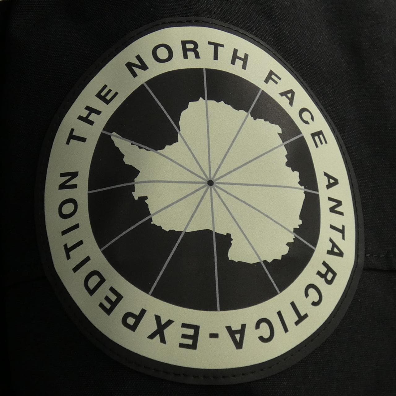 ザノースフェイス THE NORTH FACE ダウンジャケット