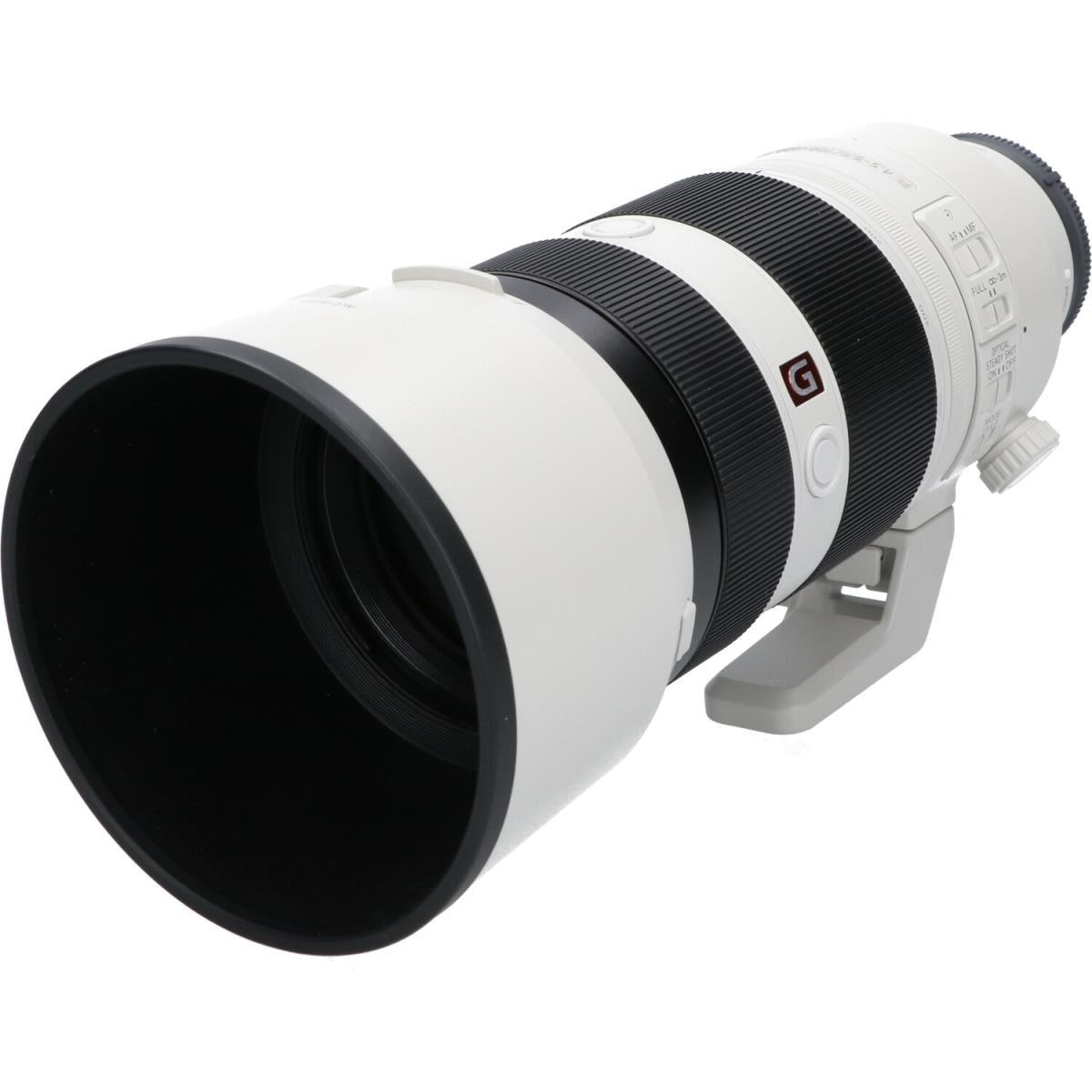 ＳＯＮＹ　ＦＥ１００－４００ｍｍ　Ｆ４．５－５．６ＧＭ　ＯＳＳ